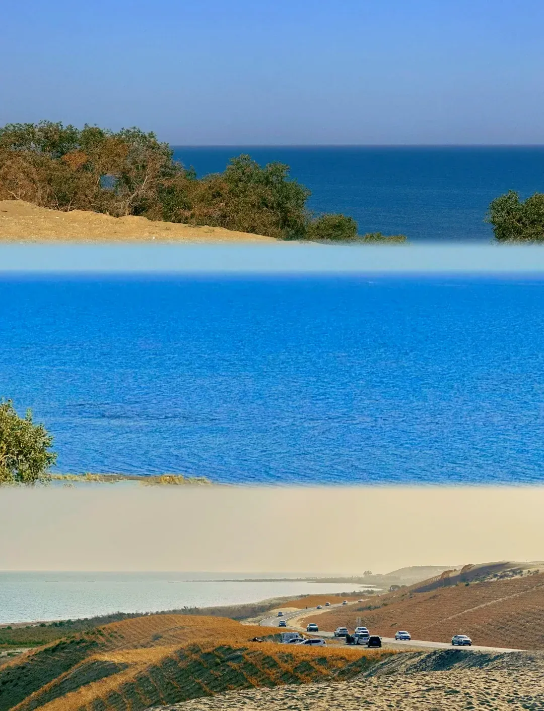 9db57cc4036af4b43e2c8553b6e6190e-sz_2581424