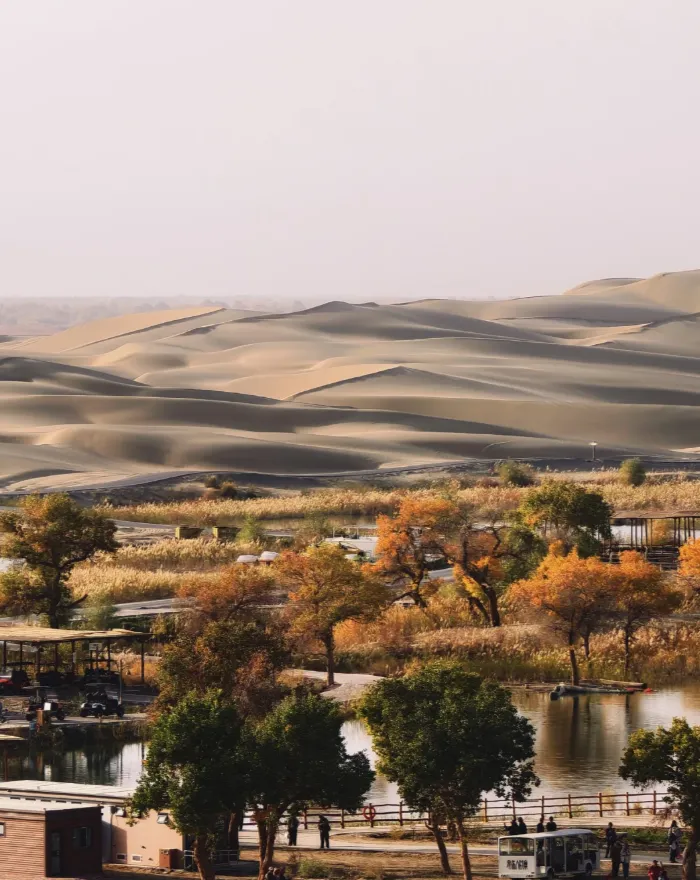 9dcb2ed9df2e5a8e0a2b57614f3c784c-sz_876203