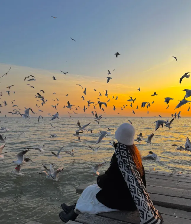 纯玩『爆款99元！超壮观！“赏”西伯利亚红嘴鸥、不用飞去洱海+这个季节最美♥香雪海“赏花”苏州一日游』门票已含