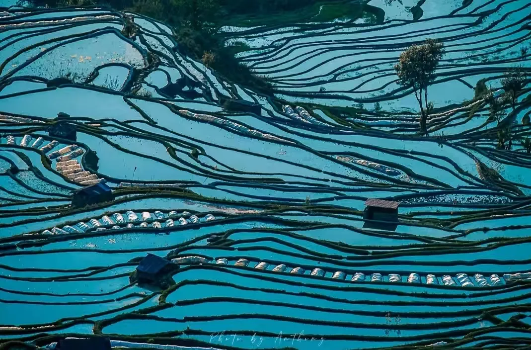 9e316cb68ad1345394e77fff635a7c77-sz_695610