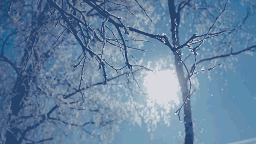 9e46f20c1c3b77db411bdffcc627e0dd-sz_8030808