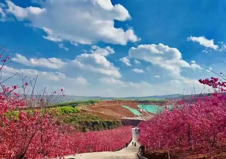 9f0a550905e16bf69caaf5badbdb3352-sz_80452