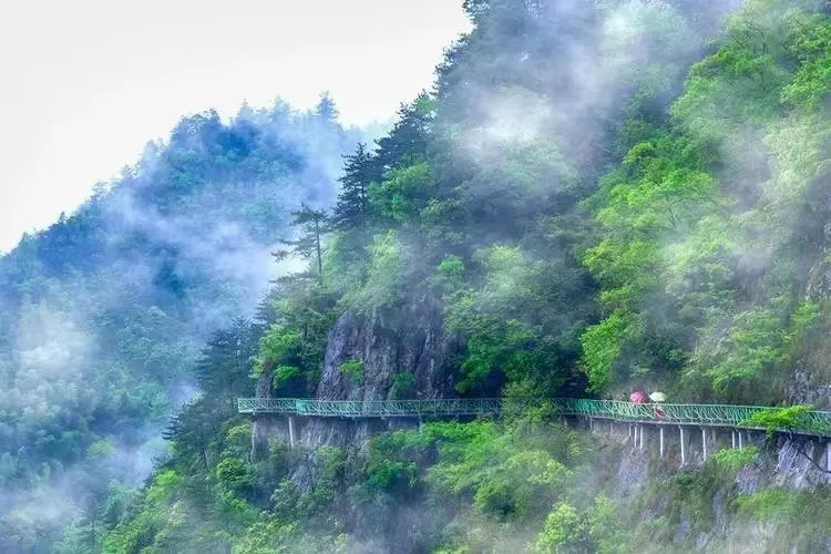 9f0c6e217132386053e41d3d90966314-sz_698490