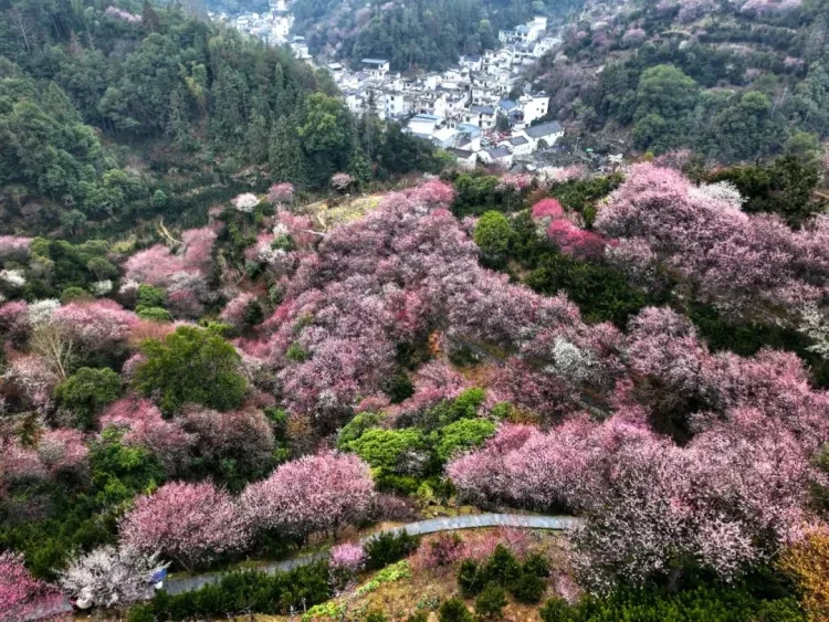 9f19f27fe3b6abd54ca5604d7f035439-sz_290273