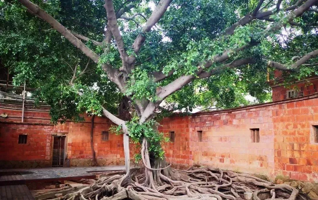 9f6e44765fd4e9d272cd0d704cf23b0c-sz_235230