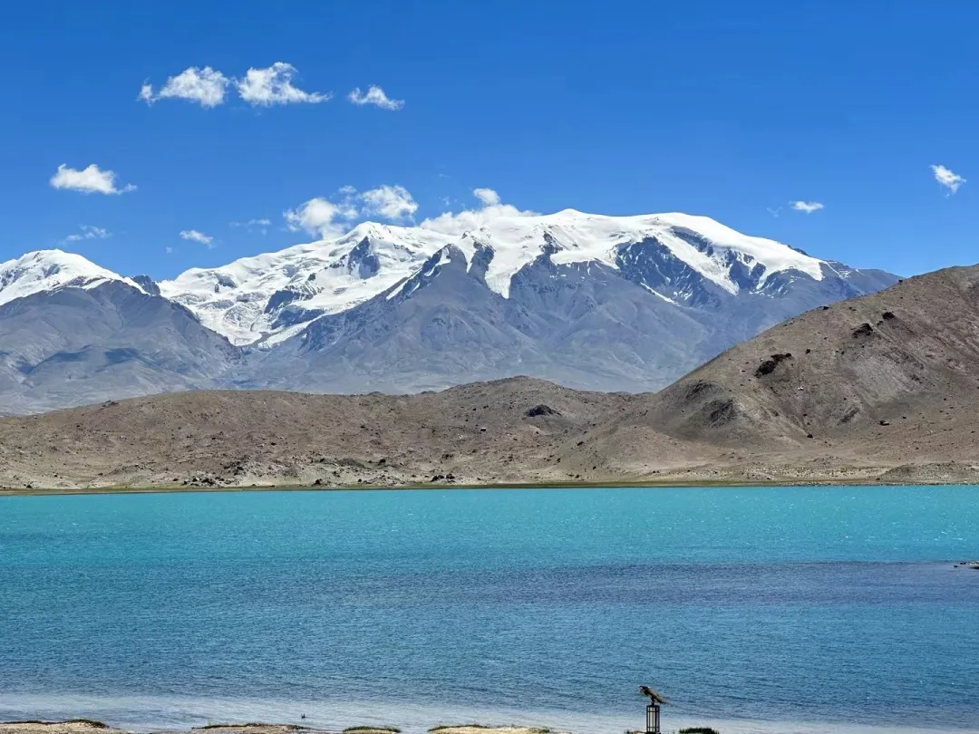 9f71c0cccc452fdc071d14fcd14866e4-sz_450362-1