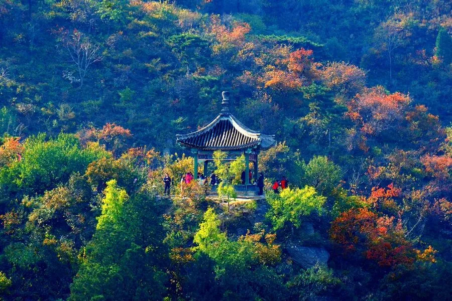 9f9866849fb43dbe699e64435947a286-sz_1615691