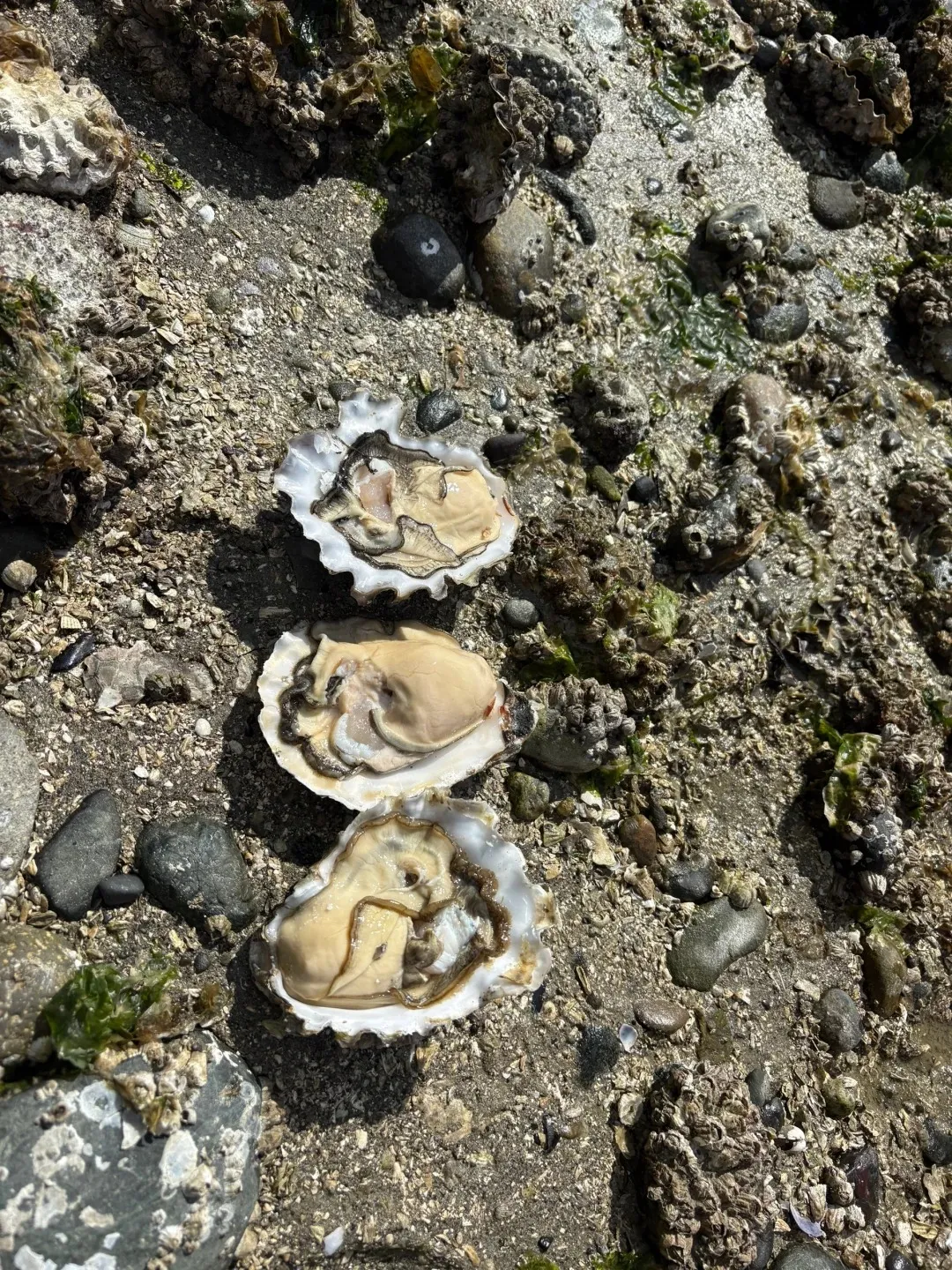 9fbaf92dae49b98b823255520cfbdd43-sz_803660