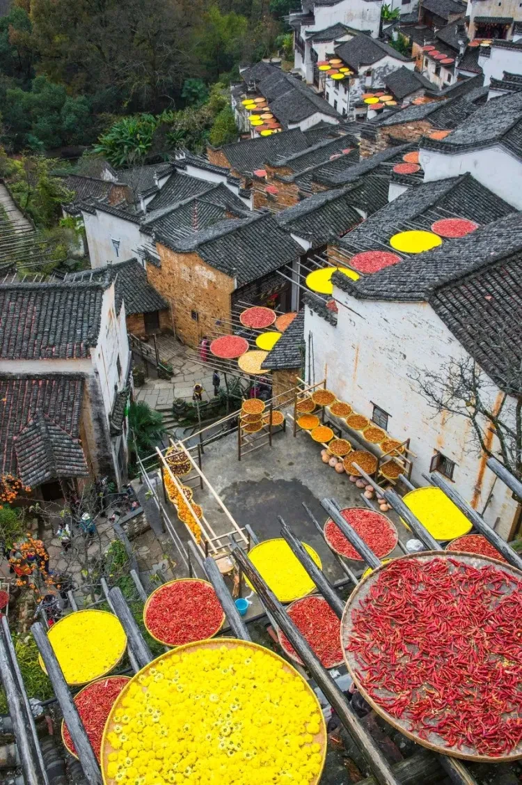 9fbf356f522706cb1d96b24b0eec24f8-sz_388102 9fbf356f522706cb1d96b24b0eec24f8-sz_388102