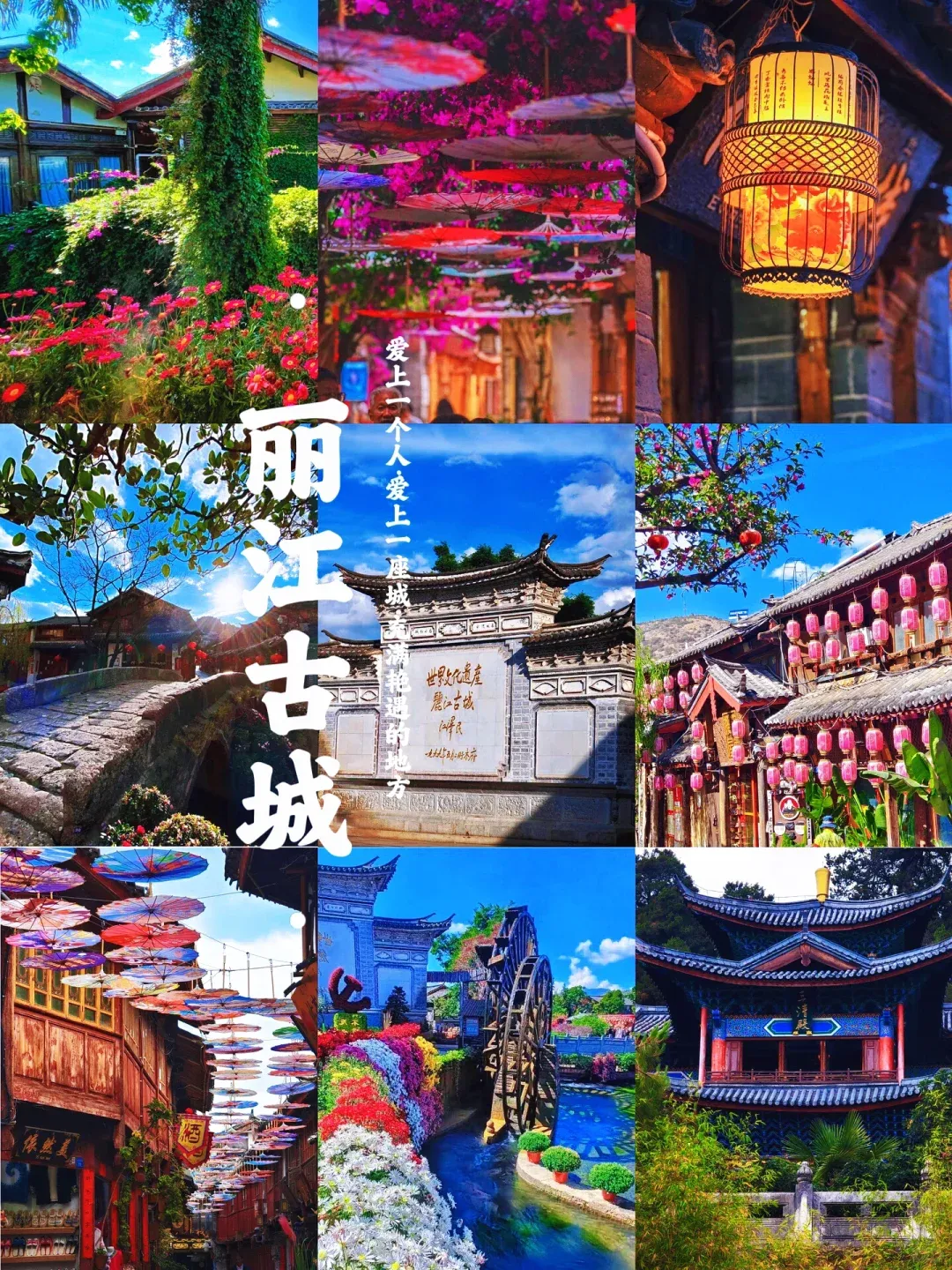 9fd1705192447273ed8b512e17a200dc-sz_4398349