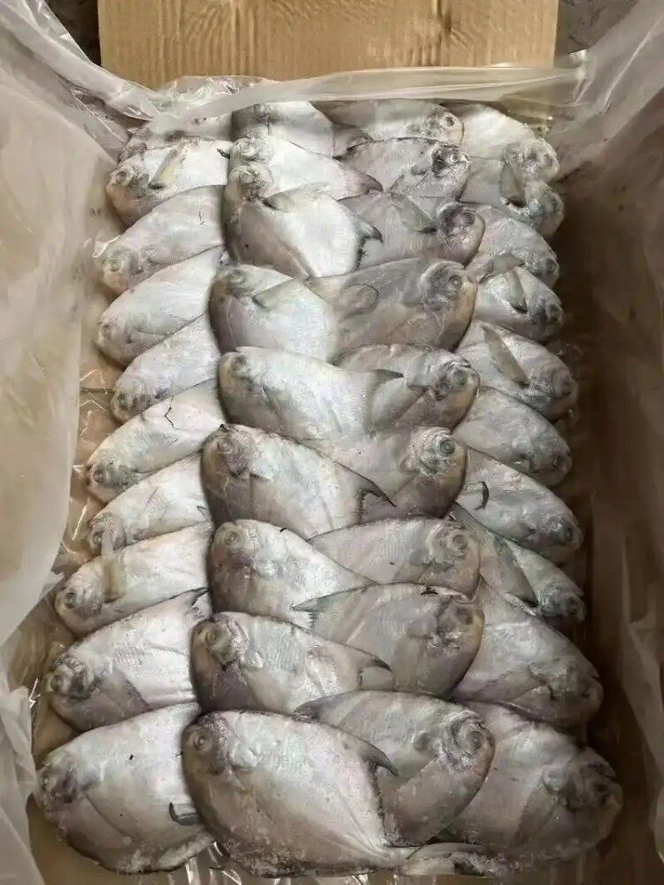 L8x1H2GtnpHUssJRh2XrG6WPhcHaNOKX