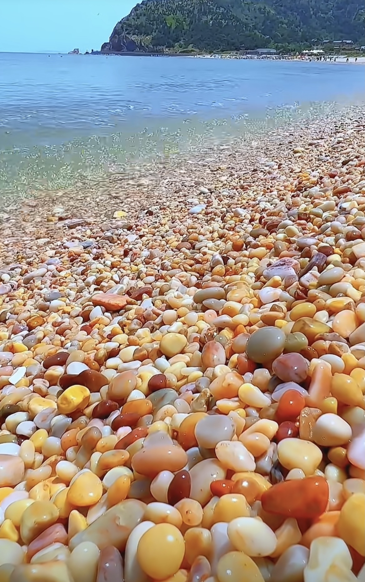 N3ksZStF3GJ2xELlYxr0dg5c2bc57235e8673590a0bc7e3311dc2d