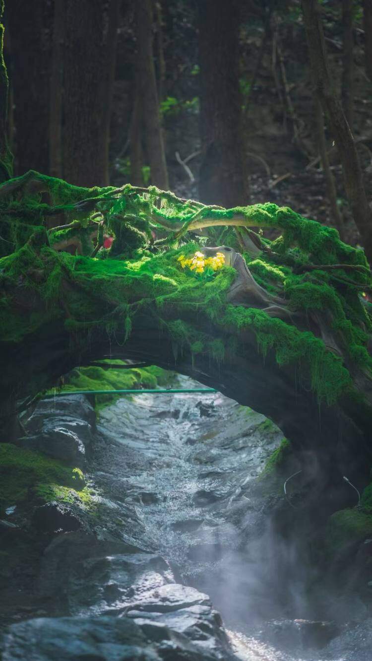 NOOG5hdz2yGK5vbEPeCMddgFRpgEb4dp