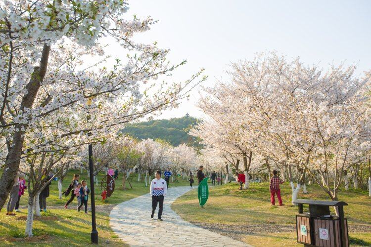 PAQV8qUTvepaKL9_19kWUwHFrf6es12_