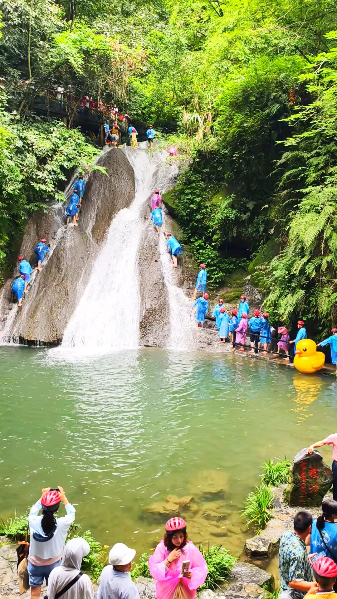 SeTBj_Uhund8xgu7UTeX7Qf70fedbbb0cfcb9679f3113f859bf0bf