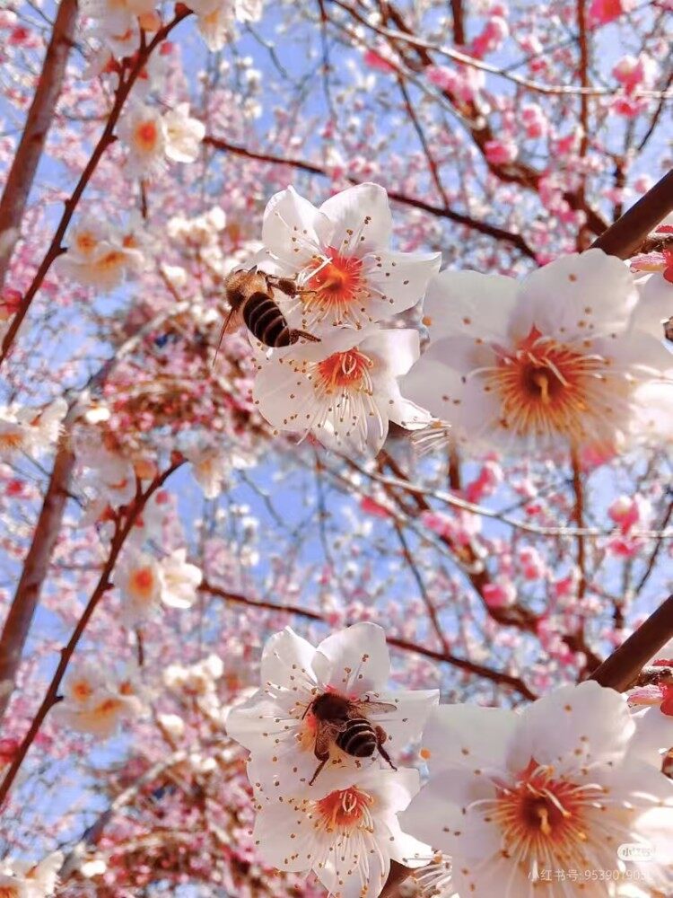 WMaGGsSp4z0UvC5KIsnU0ShnmVm82EIF