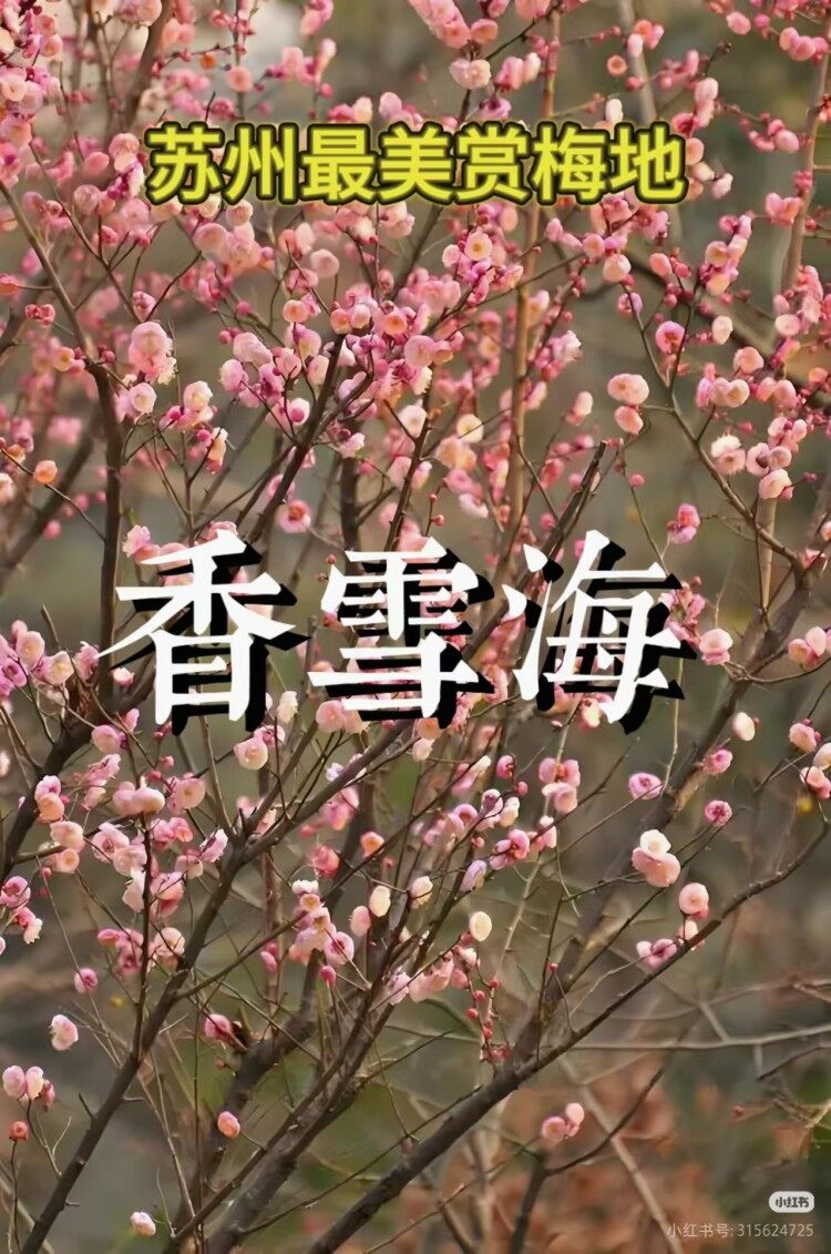 Wye_3hFjoupFgUZeEoUxc_AIhVAnXChJ