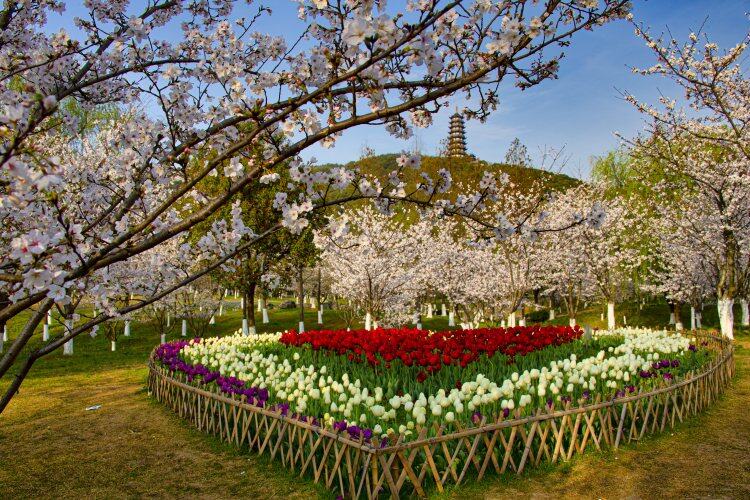 XkOl8xswnr6-cwB339hhRXUMKhJbtJbY