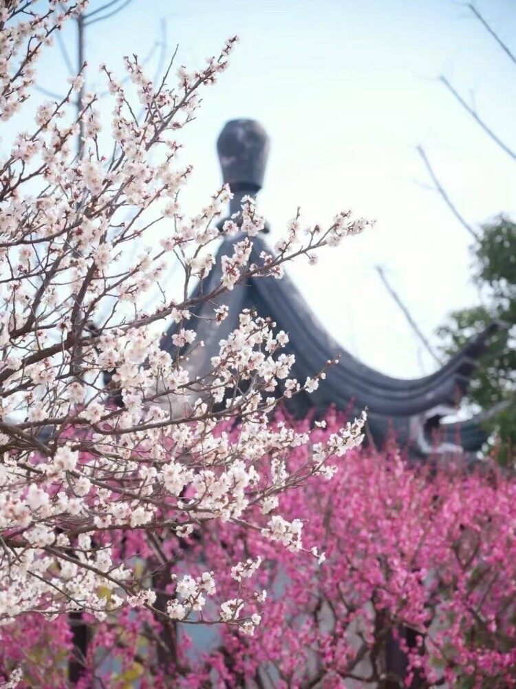 Yvb64VMbnffj2YeiB7XThTjtQYFo7szh