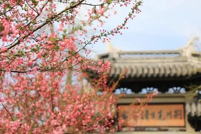 a000056ea9dc14cf50748ba5d4e408f9-sz_54743