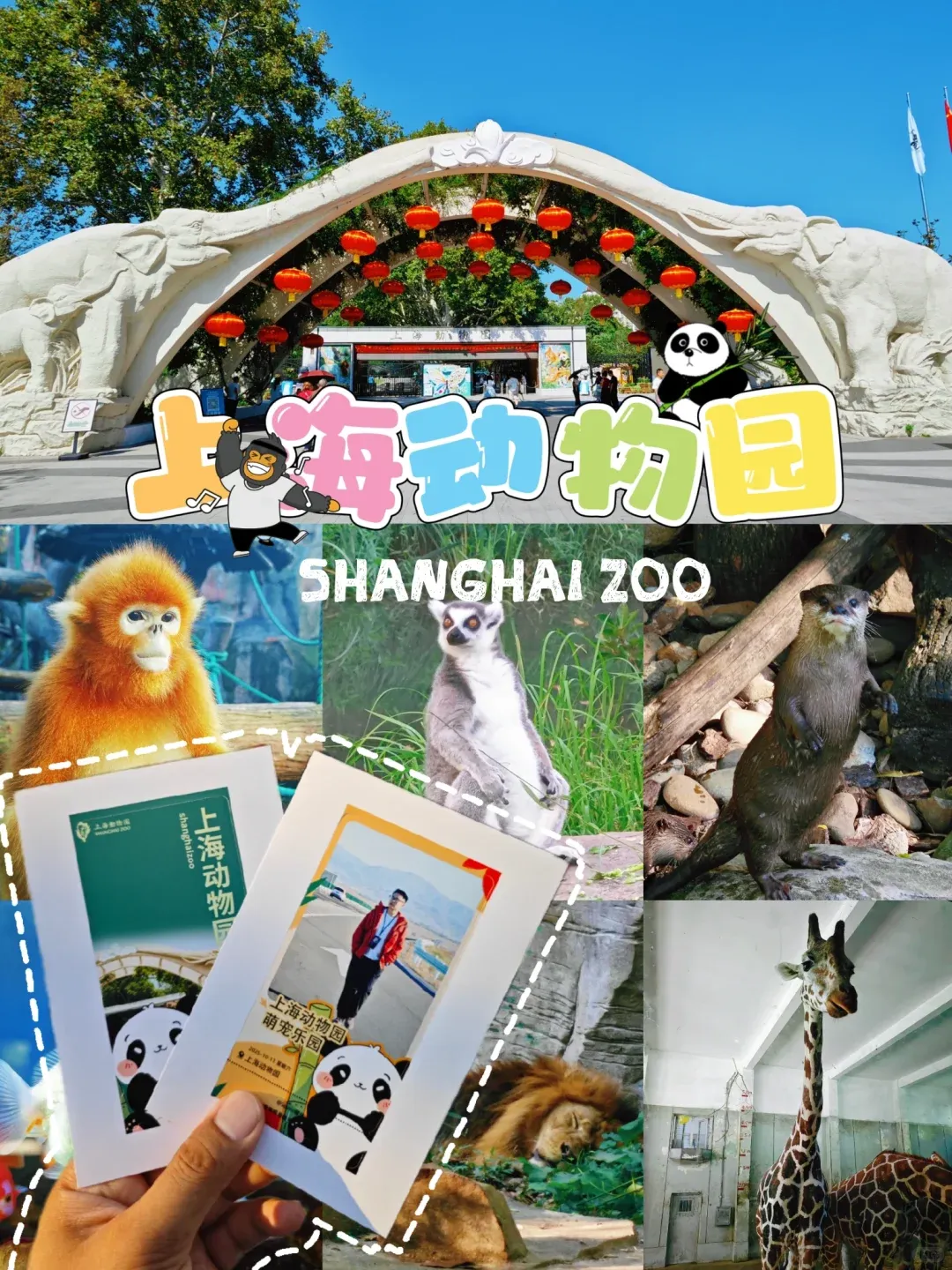 a012b3ff04cd3569c270c2a1f966614b-sz_3185630