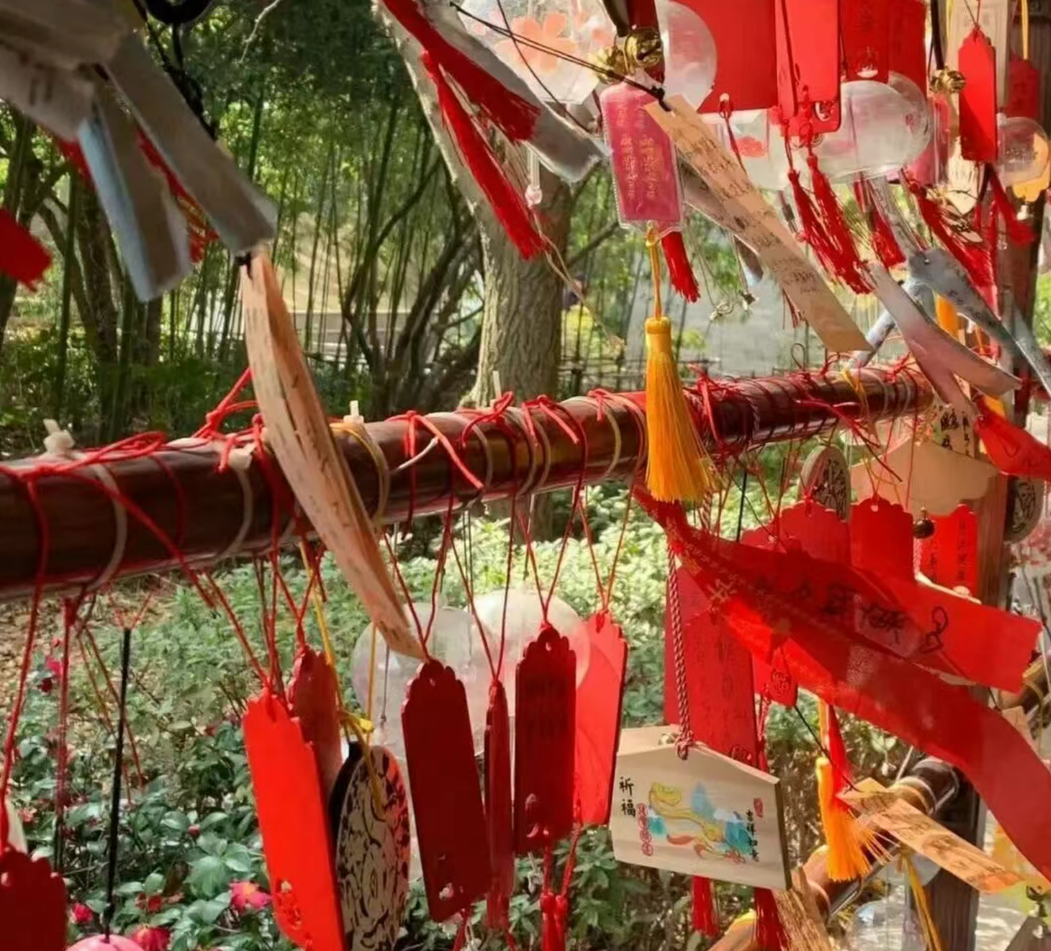 a024cbac2b000d3dd7e59dd836c7c9a6