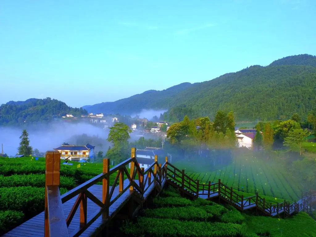 a042d7dd7e3531a42790825be2b3dec8-sz_90954