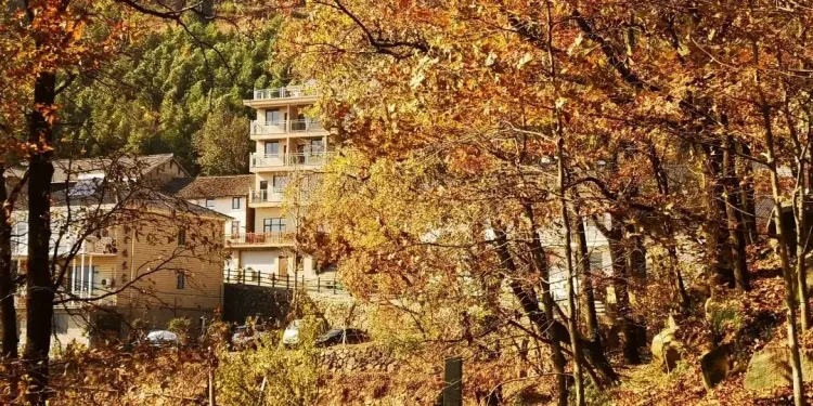 a0bd5108749e2cb49a40002487f8e1ba-sz_270059 a0bd5108749e2cb49a40002487f8e1ba-sz_270059