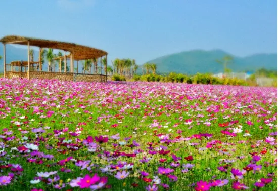 a0ea73b70c09137ec60cc02ba8a1259d-sz_568002 a0ea73b70c09137ec60cc02ba8a1259d-sz_568002