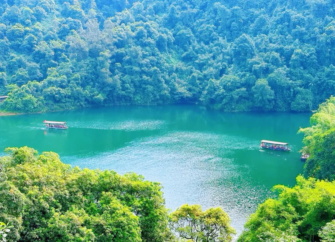 a0f31a3f299d155a0927634d0339f204-sz_3334711