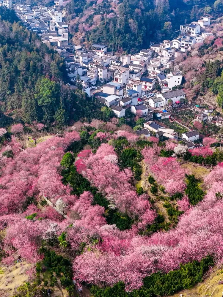 a10ddb757127d15038b6dc5a991d719d-sz_4475906-1