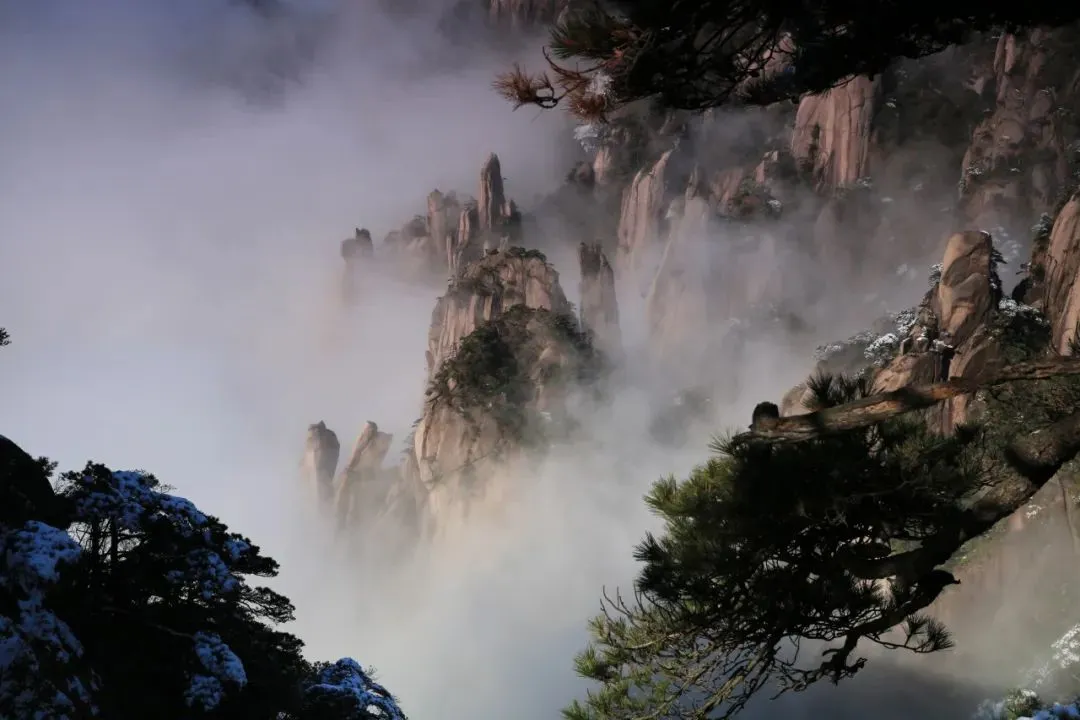 a13127d31a23f53d3b86fbc0b3d37b32-sz_85359