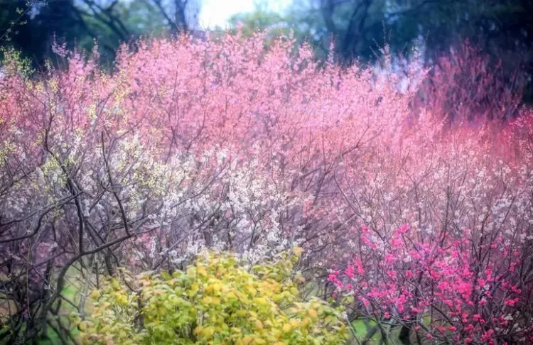 a1397da33e91c24ba2f63e8cce7f472c-sz_106484