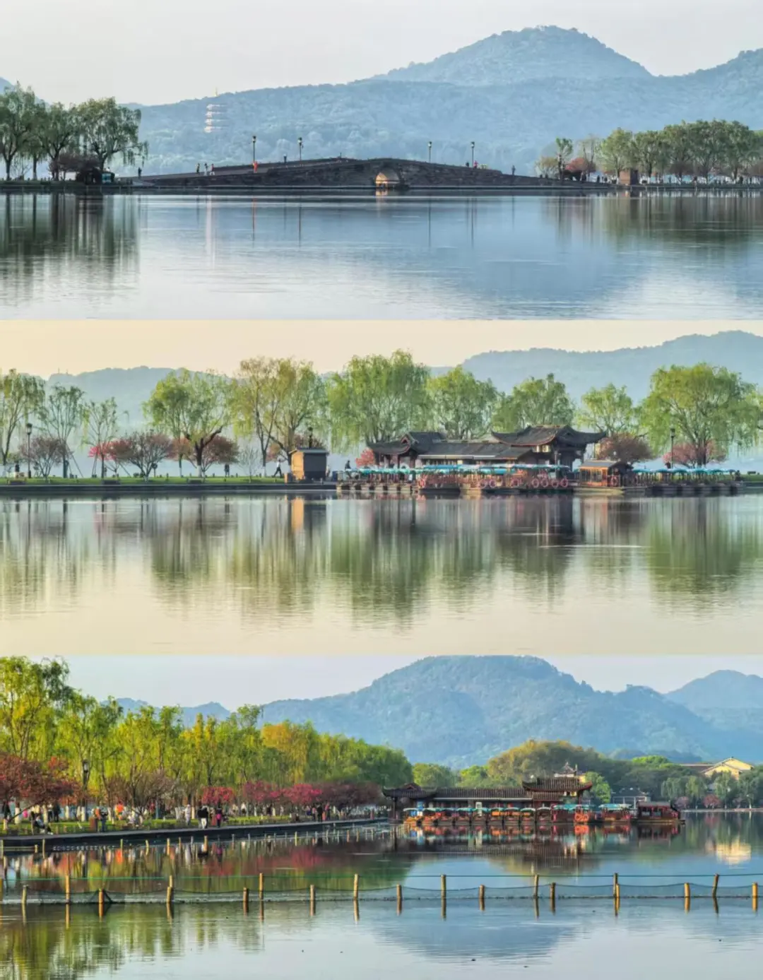 a1829814b8b0c78935cedd1937dc7f8a-sz_251251