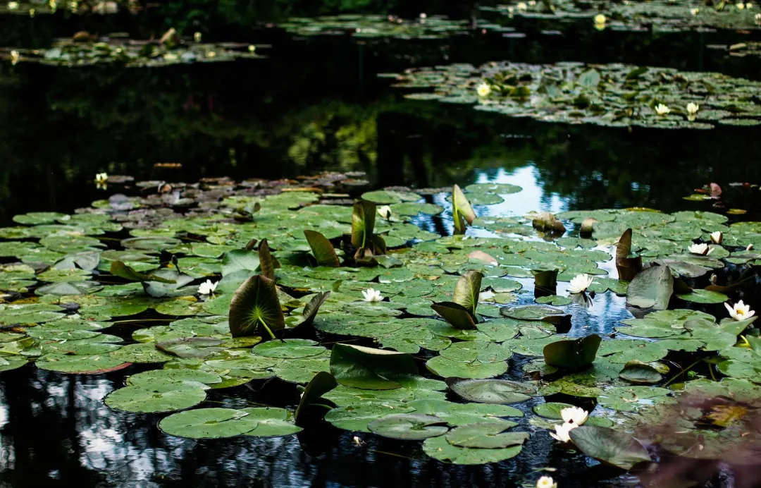 a1b0015ca28ee88570b3d579e313eda0-sz_334934