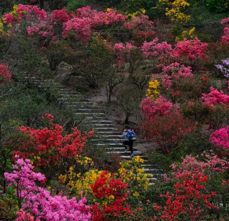 a1b727a16c8f0e70050656326e49081c-sz_329476