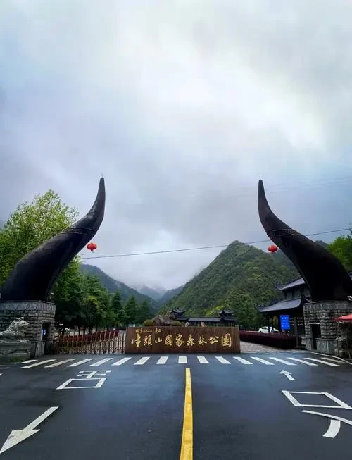 a1b7569e608b75913d108304de195165-sz_38094