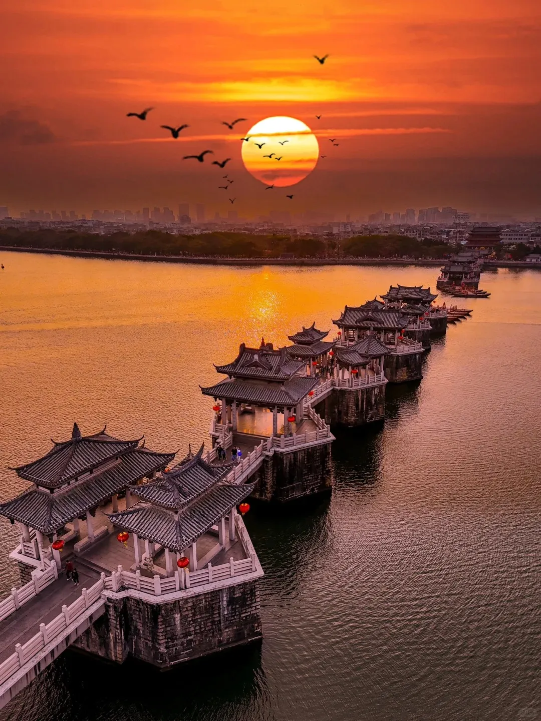 a203843f62b4752e17f4db37032d0c84-sz_509448-3