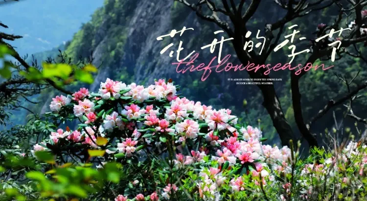 a22e956c7b4f7293eb1eb247b2803606-sz_323289