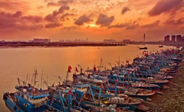 a244daf8e6633e747751b674d851a149-sz_617453-2