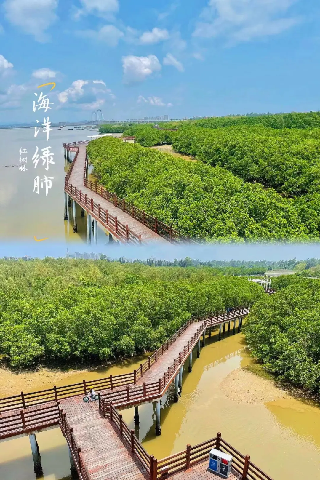 a2506b709d86ebe761802f39f6a94aa1-sz_620000