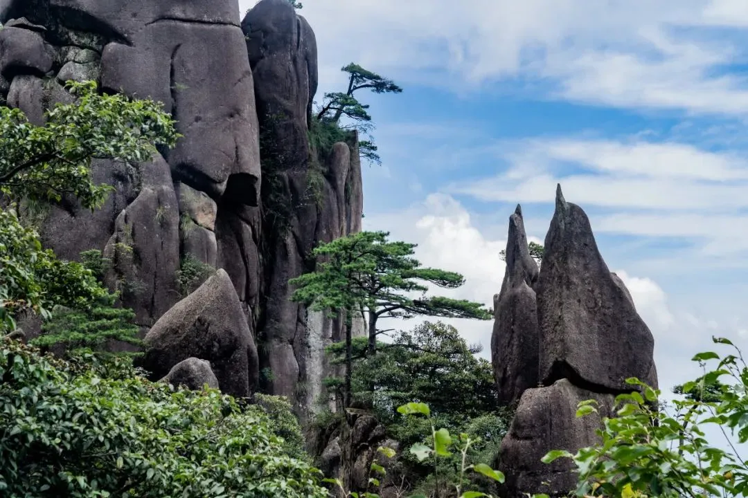 a267b0ee6ca31c762f7da8143b7bed96-sz_172963