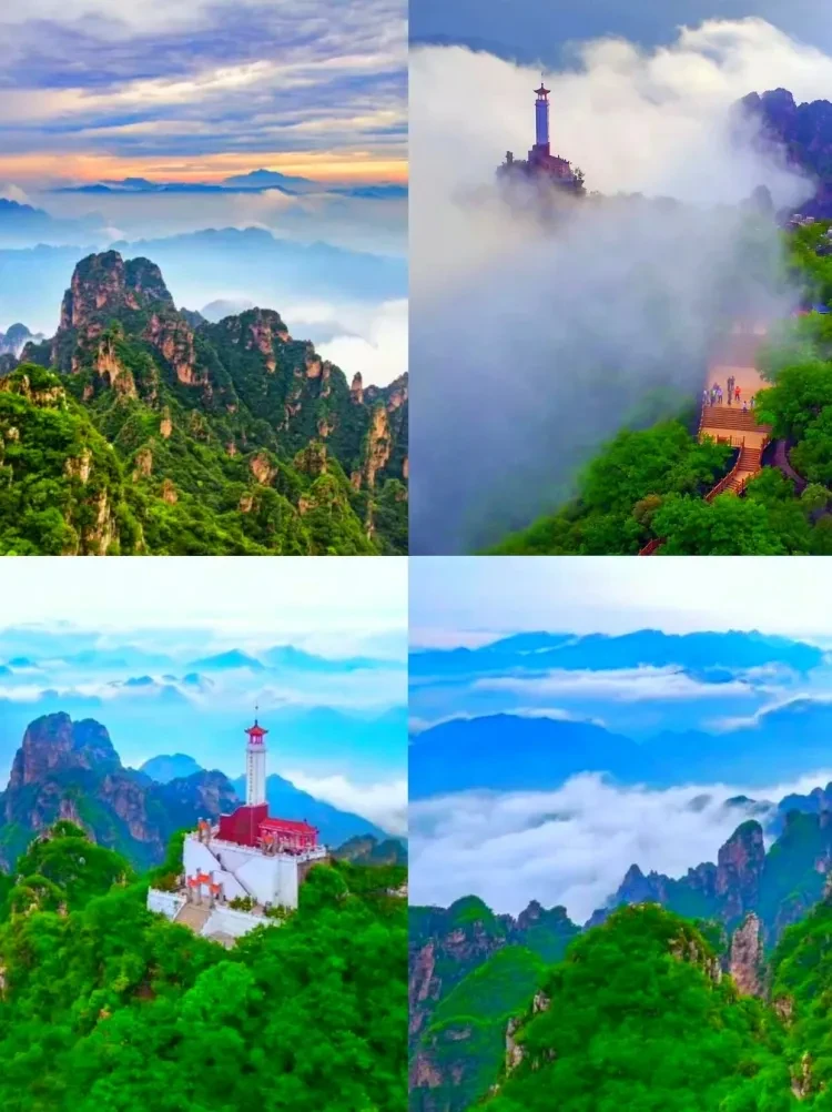 a268c8505e795efa9d968619995b7d0b-sz_291215