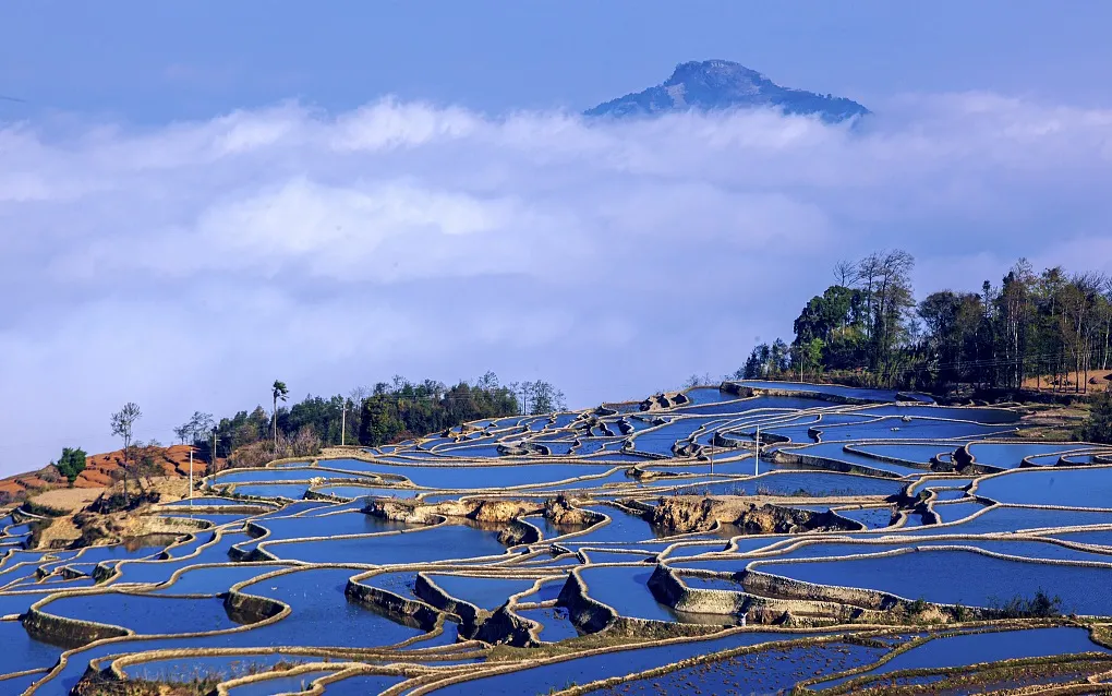 a2b561d1eaf6cb621b65dfaacef82276-sz_270856