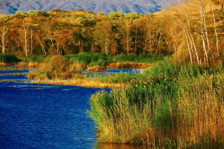 a2b9cd0a38d0696dfa215834605a7f27-sz_113494