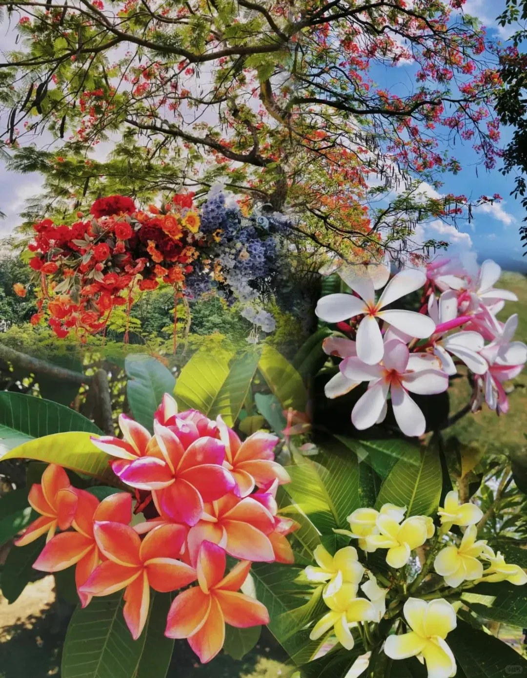 a2d99991c07bde024b6a3d6c676b877c-sz_3951070-1