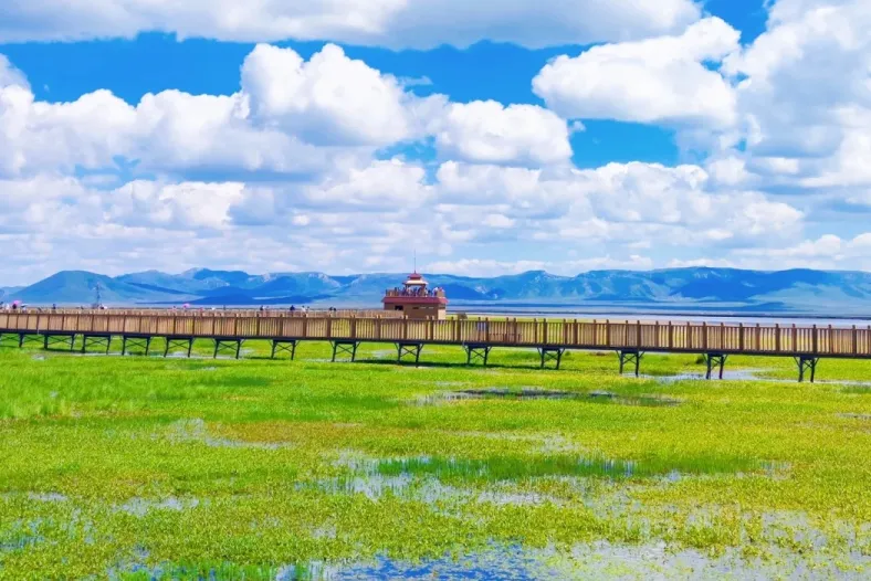 a30c912815ebf619d8fef150b0ee575b-sz_400512