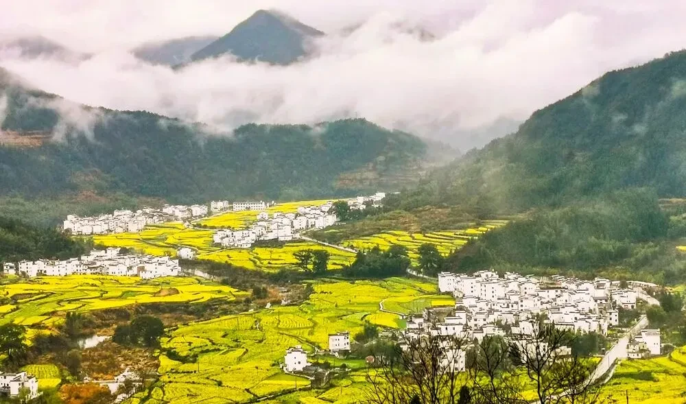 a30ec941f6209965c2dcf3aa9132acc7-sz_139237-1