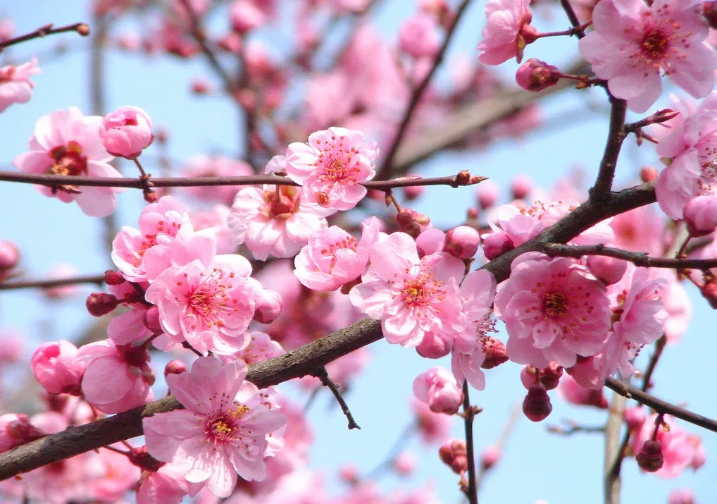 a312093a83056aaf68cbd6201080d1cf-sz_643502