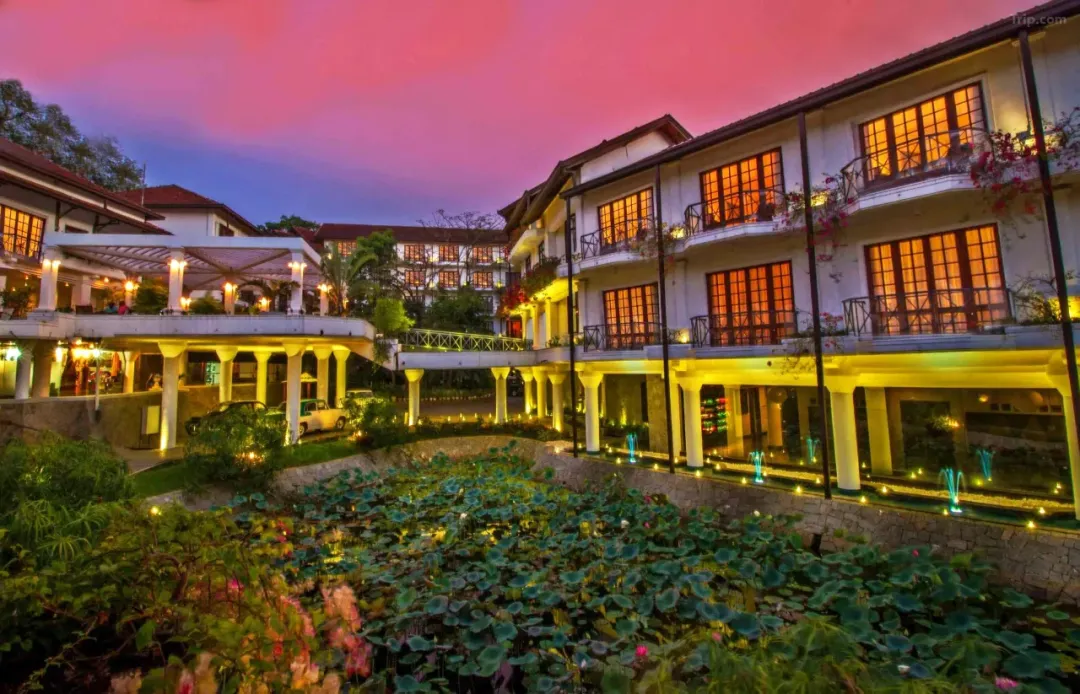 a3131e020f08946e3c90ee4afd4227dd-sz_1803135-1